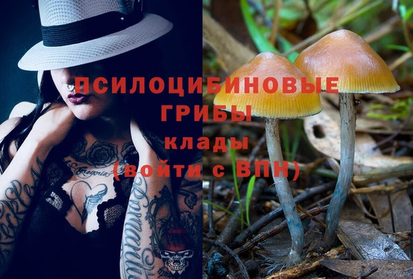 стафф Абинск