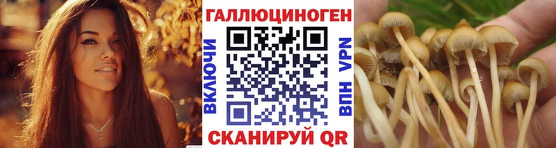 мега ссылки  Ува  Псилоцибиновые грибы ЛСД 